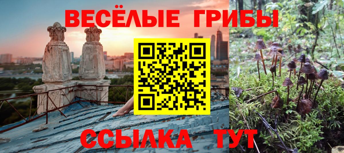 Рыбинск  Псилоцибиновые грибы Psilocybe  Вход с VPN 